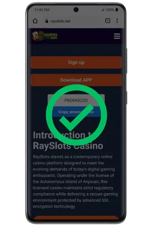 RaySlots casino app installed and ready to play