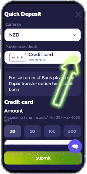 Payment methods Review the Selected Payment Method