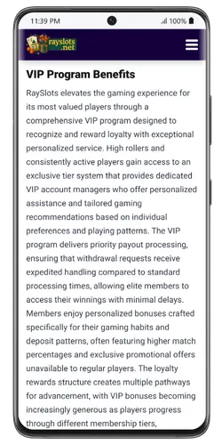 VIP program in the RaySlots casino app